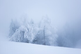 雪景