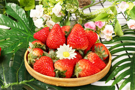 大草莓