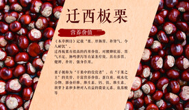 迁西板栗展板