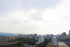 学校