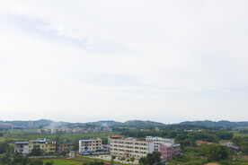 学校
