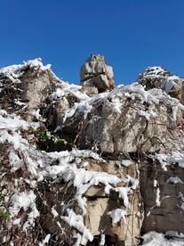雪后假山