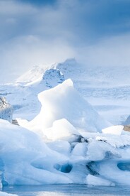 雪景