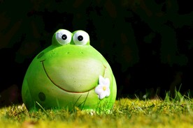 可爱 青蛙 6K 背景 图片