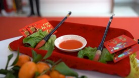 舞狮点睛丹红