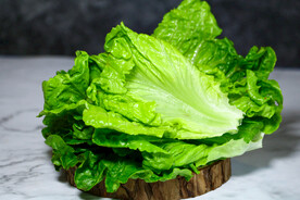 生菜