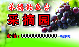 葡萄