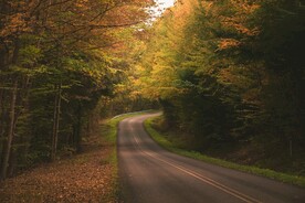 林间公路