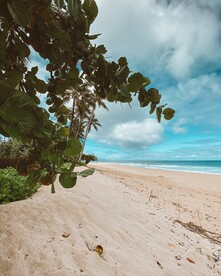 户外森林沙滩海岸背景素材
