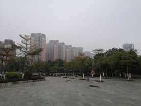 楼宇