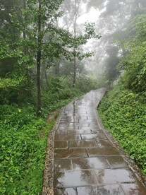 田间小路
