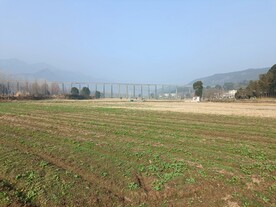 冬天的田野