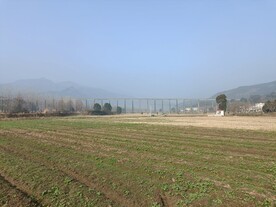 冬天的田野