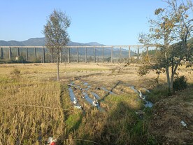 冬天的田野
