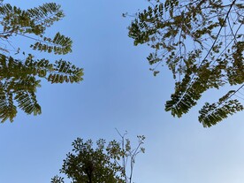 仰望天空