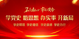学党史 悟思想 办实事 开新局