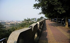 新都桂湖公园