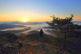 清晨