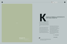 英文画册 简约艺术 ART  