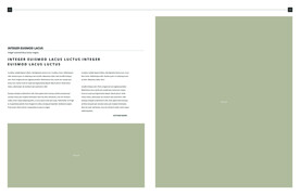 英文画册 简约艺术 ART  