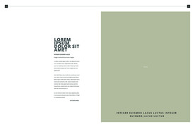 英文画册 简约艺术 ART  