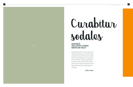 英文画册 简约艺术 ART  