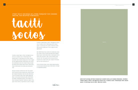 英文画册 简约艺术 ART  