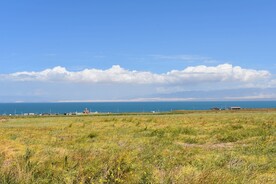 青海湖草原草地