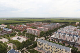 依安农场