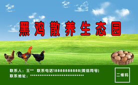养鸡名片正面