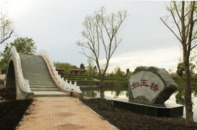 依安农场  公园   