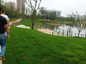 水边