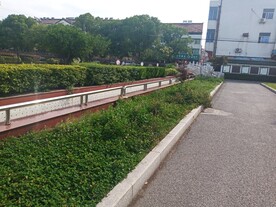 绿岛风景