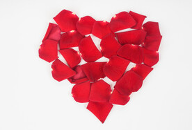 情人节玫瑰花爱心