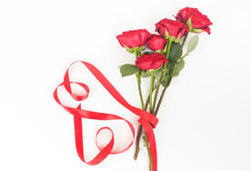 红色玫瑰花摄影图