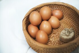 鸡蛋图片