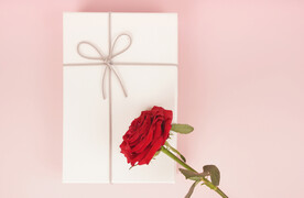 粉色背景情人节主题鲜花