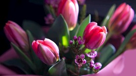 鲜花壁纸