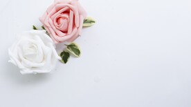 鲜花壁纸