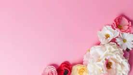 鲜花壁纸