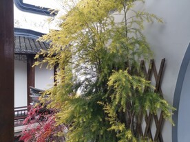 建筑园林