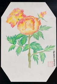 南阳月季
