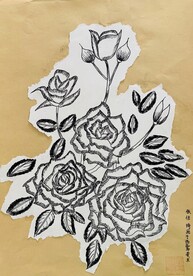 南阳月季