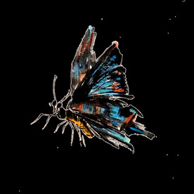 蝴蝶水墨国画彩色