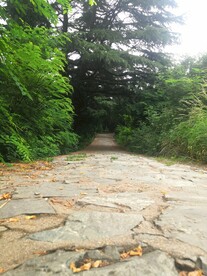 羊肠小路