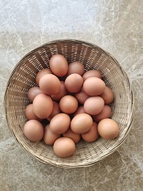 鸡蛋