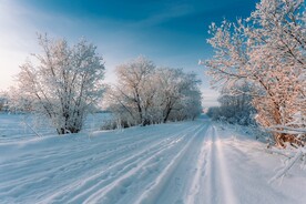 雪景