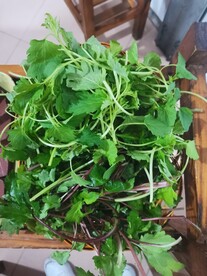 野菜