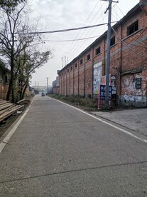乡间小道