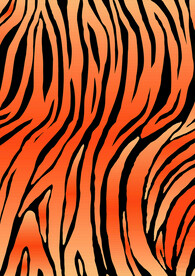 虎纹色彩